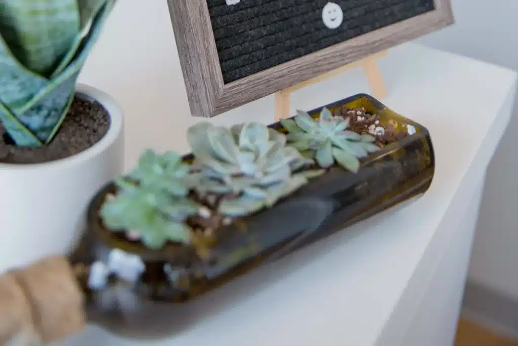 A glass bottle planter with succulents sits on a white table next to a potted plant and a framed letter board.
