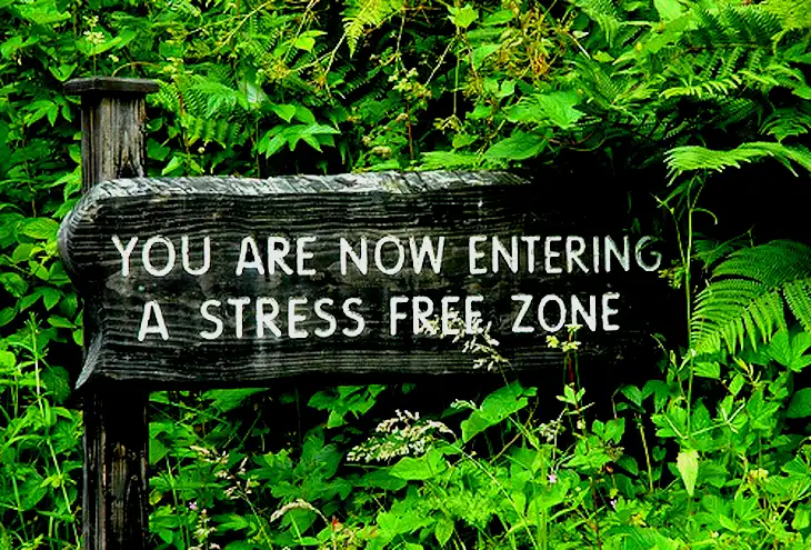 A wooden sign in lush greenery reads, “YOU ARE NOW ENTERING A STRESS FREE ZONE.”.